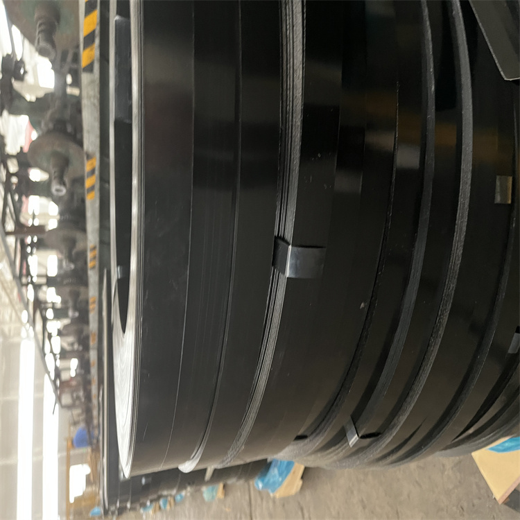 SAE/AISI 1015 Painted Steel Strip for Packing