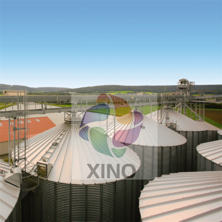 steel Grain bins grain slios for africa and south africa price cost 