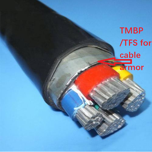 TMBP-TFS-Cable-Armor.png