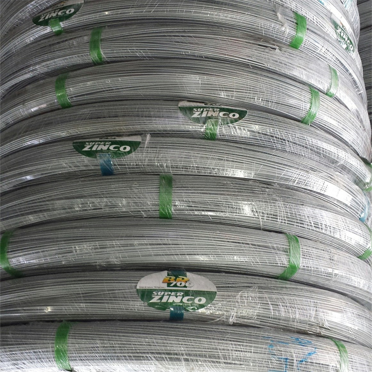 Galvanized-Oval-Wire(3).jpg